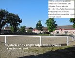 thn00003.jpg