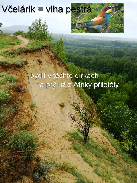 img00006.jpg