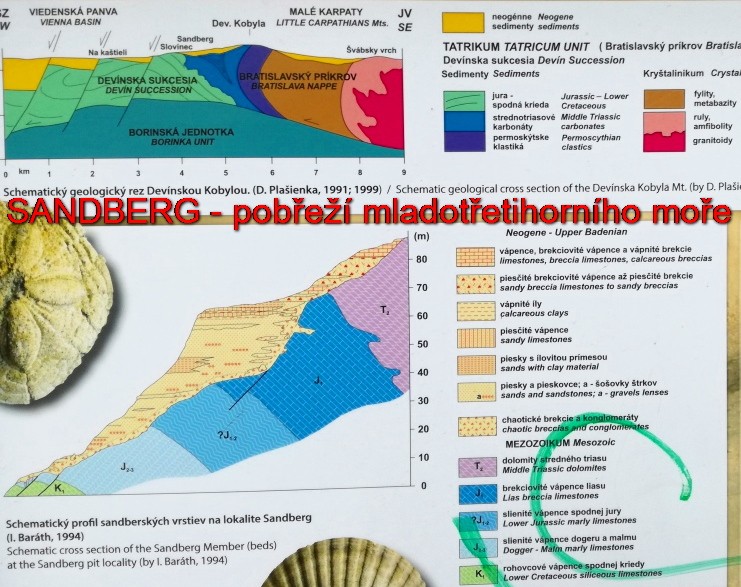 img00007.jpg