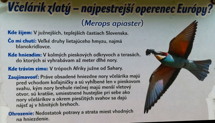 img00008.jpg