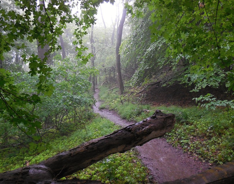 img00022.jpg