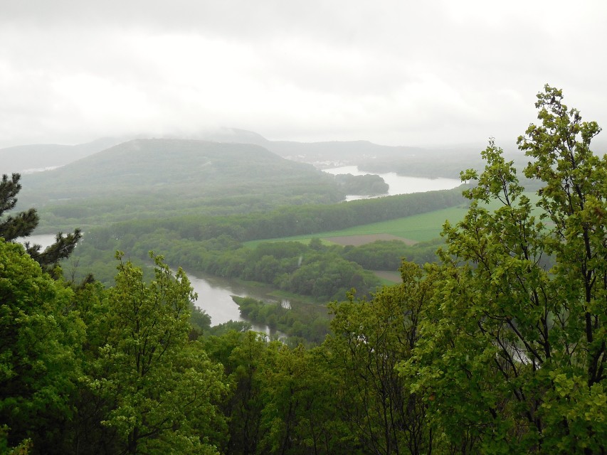 img00023.jpg