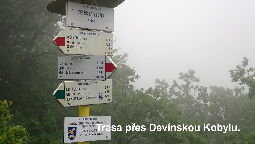 img00025.jpg