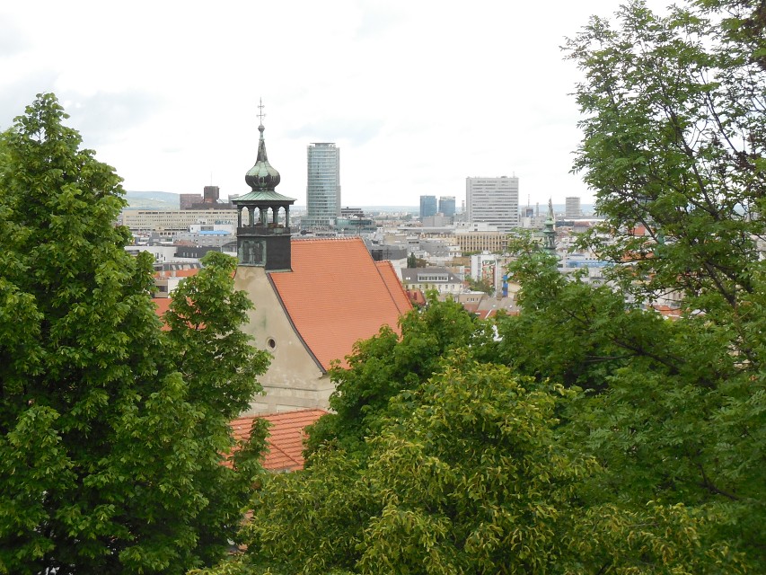 img00007.jpg