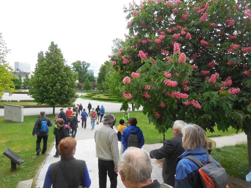 img00017.jpg