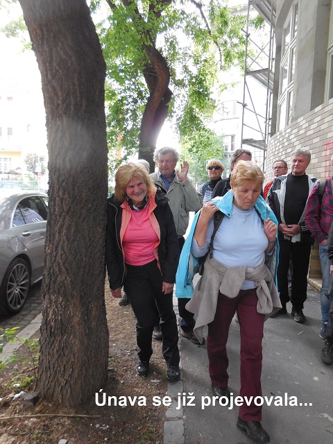 img00038.jpg