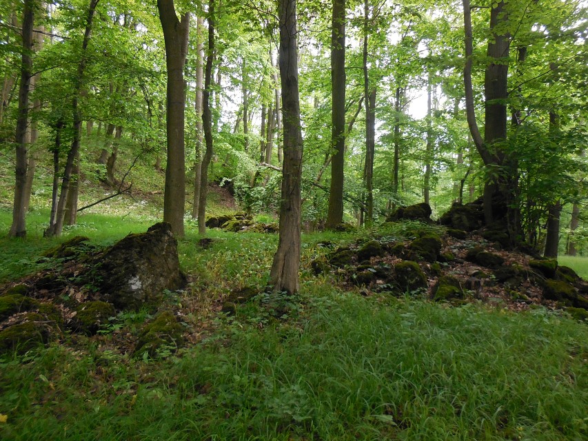 img00004.jpg