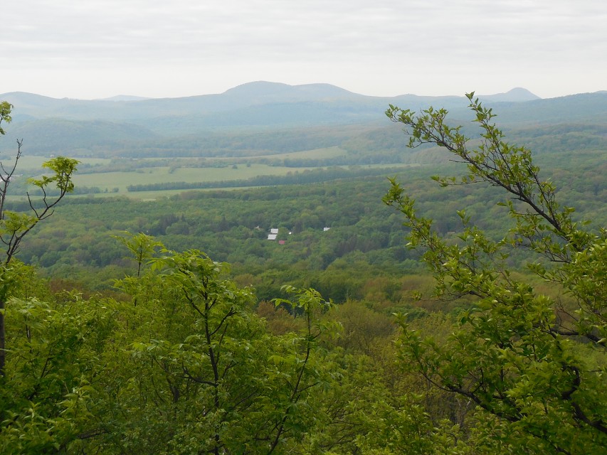 img00006.jpg