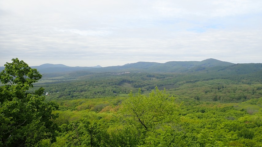 img00008.jpg