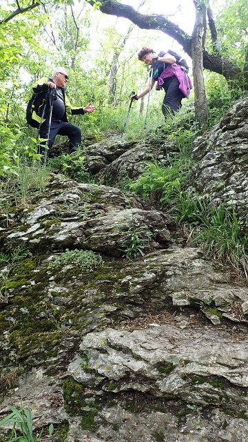 img00010.jpg