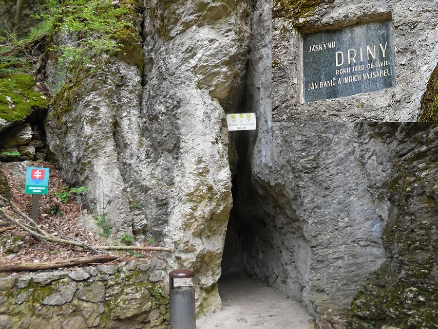 img00015.jpg