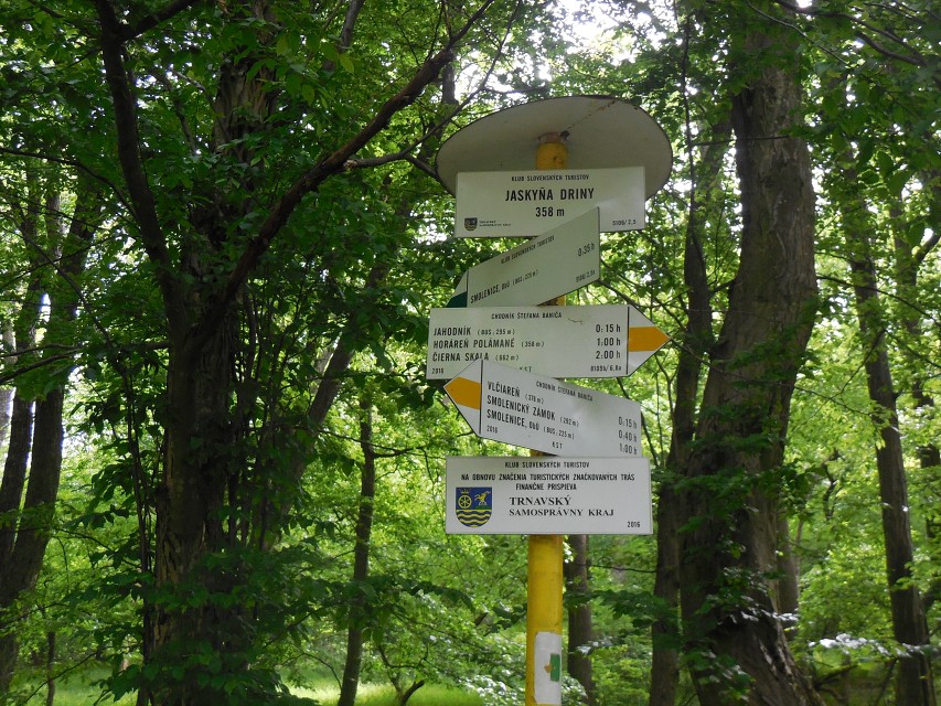 img00017.jpg
