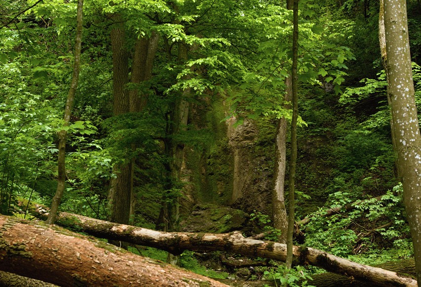 img00020.jpg