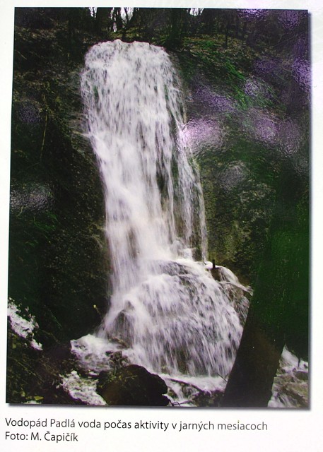 img00027.jpg