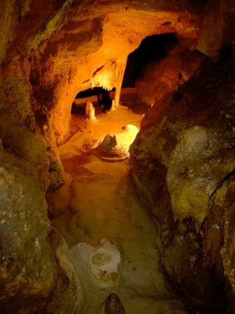 img00010.jpg