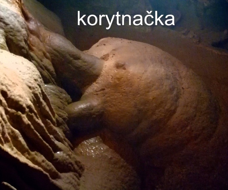 img00015.jpg