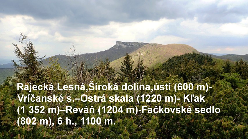 img00001.jpg