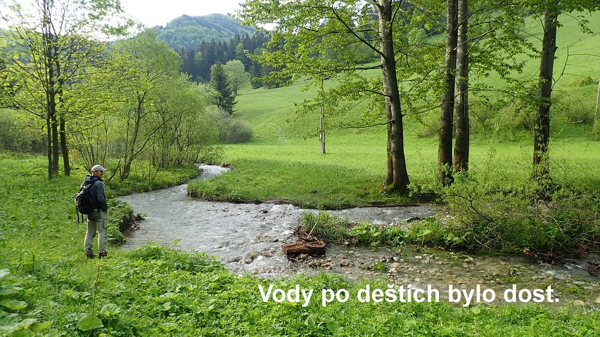 img00008.jpg