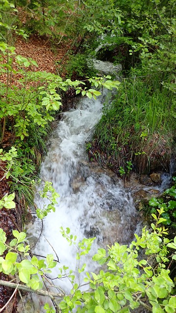 img00009.jpg