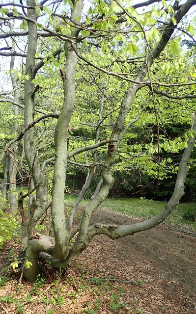 img00014.jpg