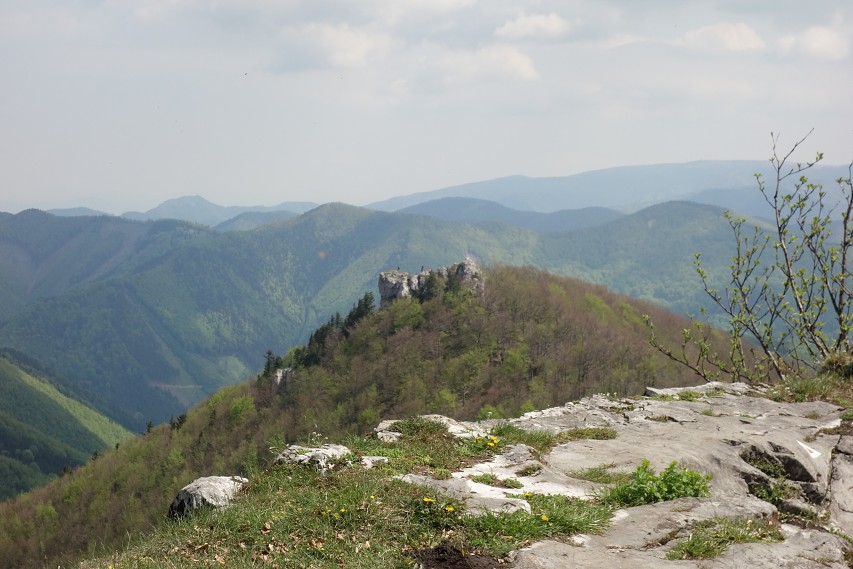 img00020.jpg