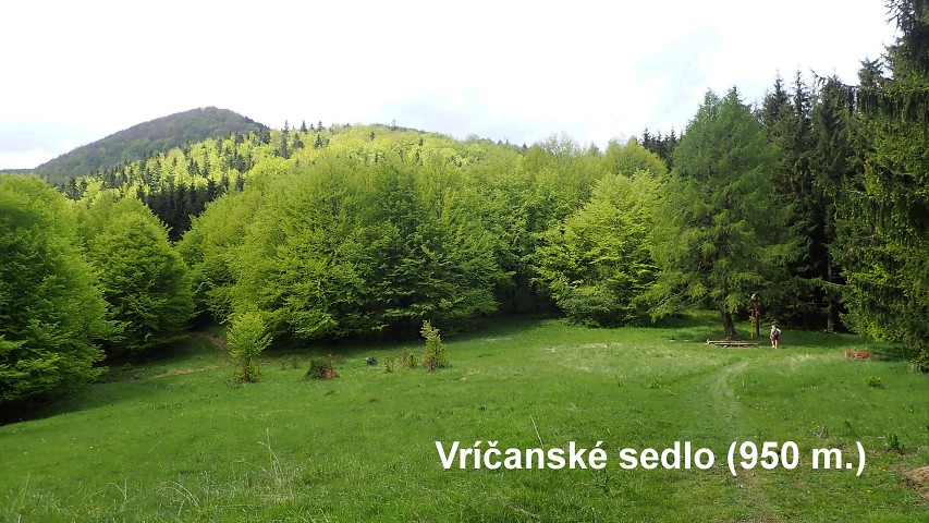 img00022.jpg