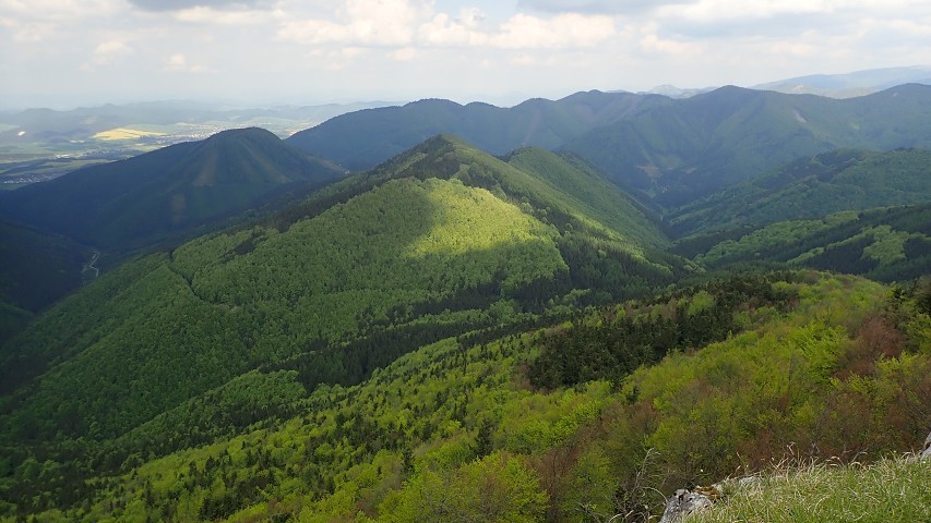 img00030.jpg