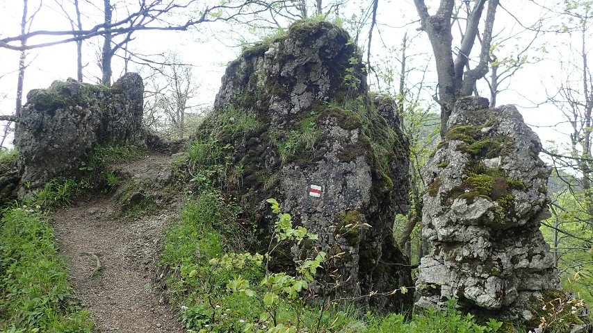 img00031.jpg