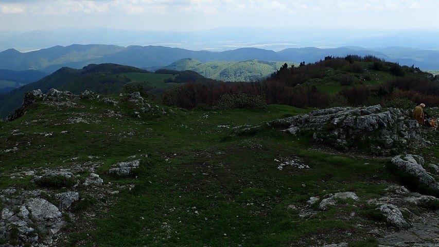 img00042.jpg