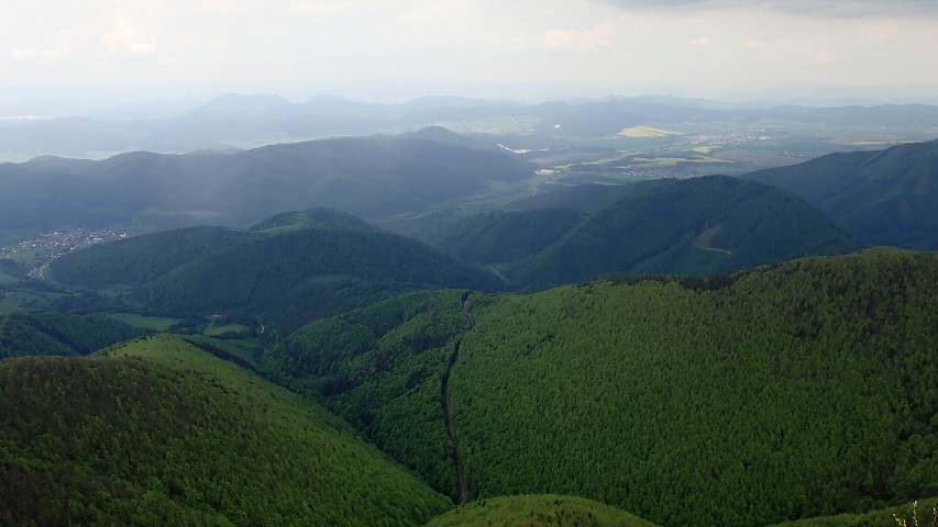 img00046.jpg