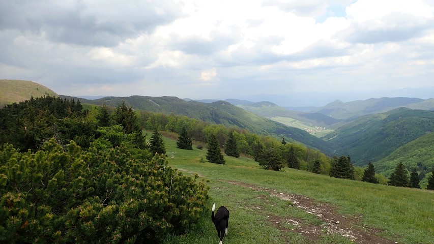 img00050.jpg