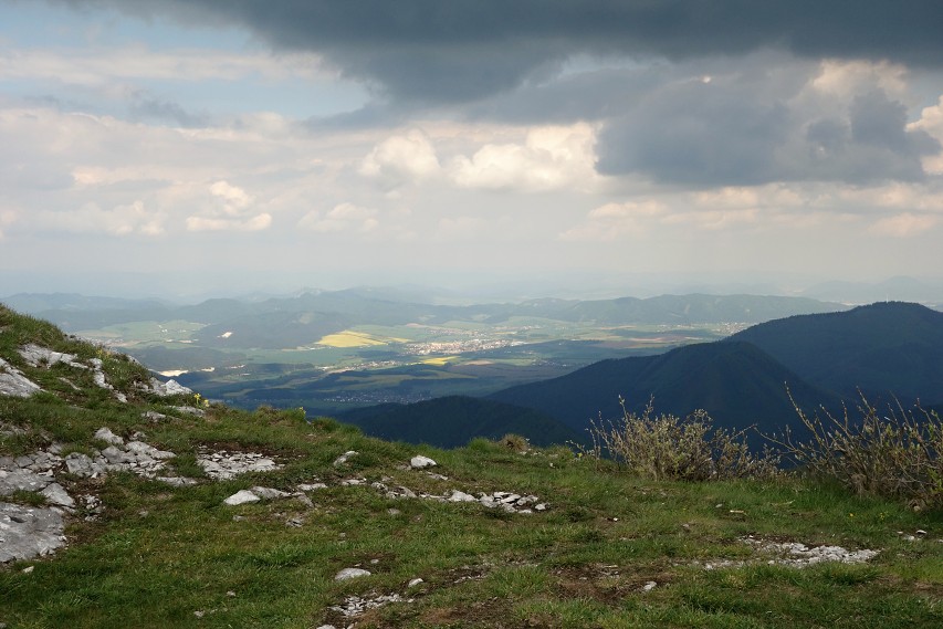 img00051.jpg