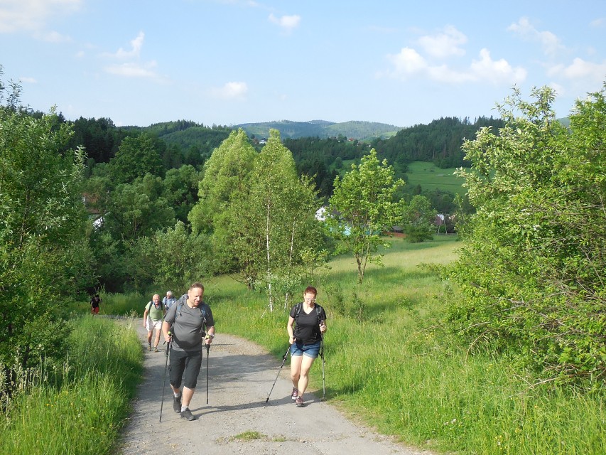 img00004.jpg