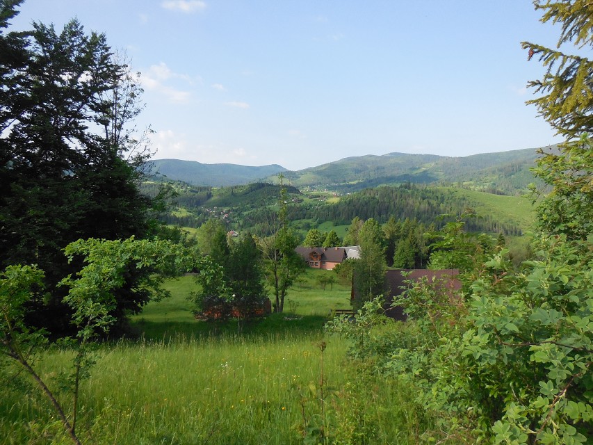 img00007.jpg