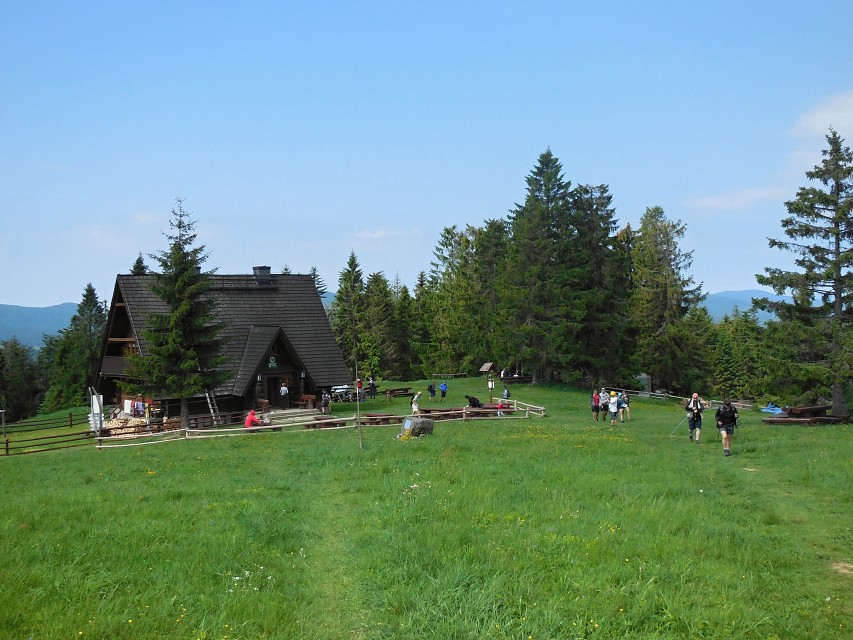 img00011.jpg