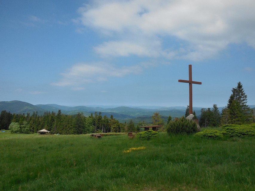 img00013.jpg