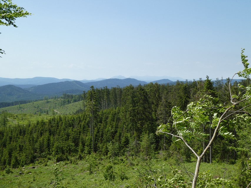 img00015.jpg