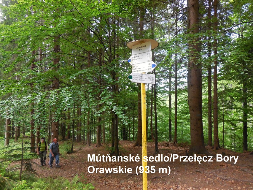 img00016.jpg