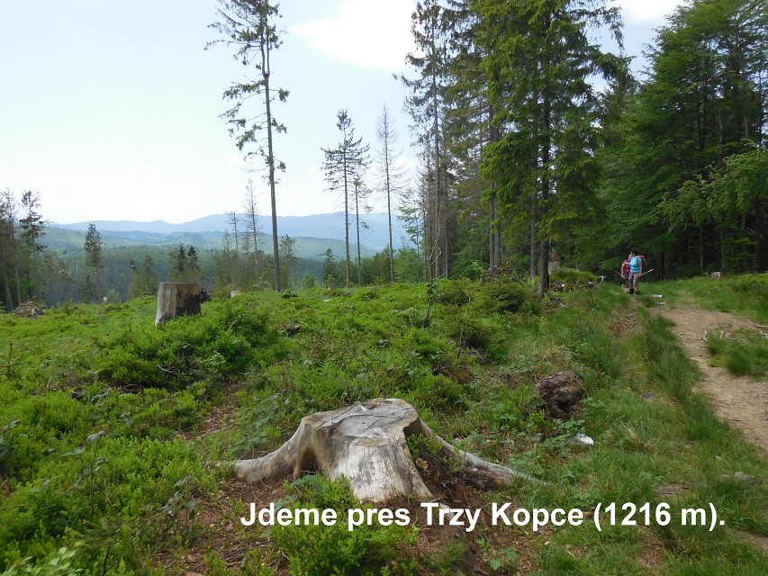 img00018.jpg