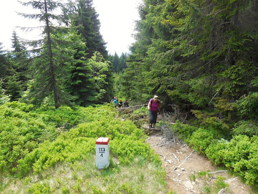 img00020.jpg