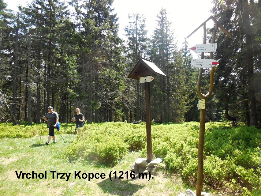 img00021.jpg