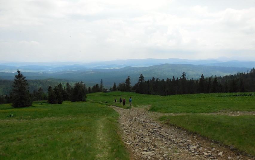 img00025.jpg