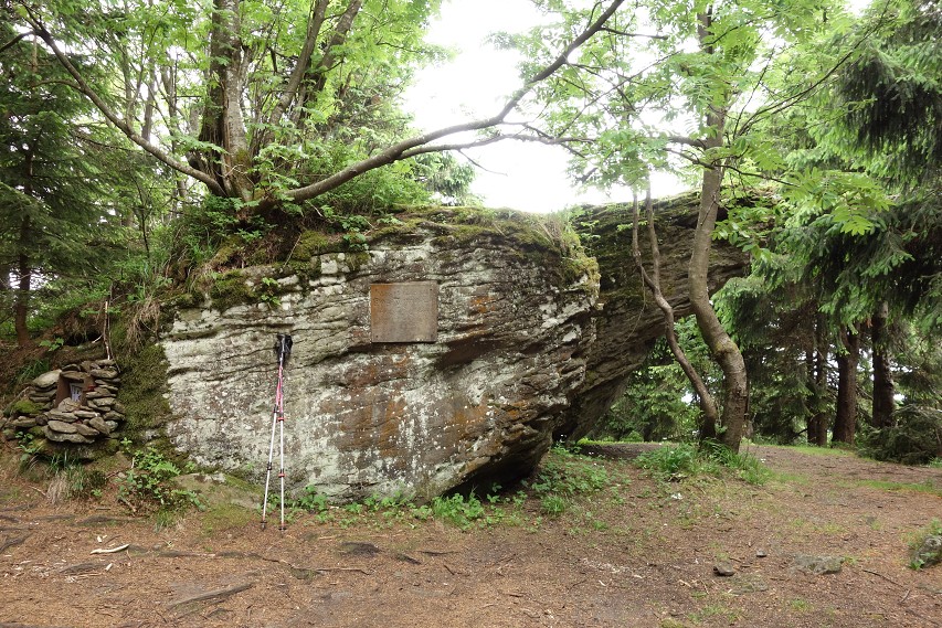 img00007.jpg