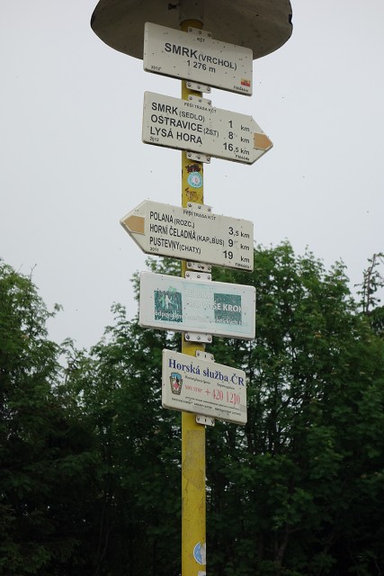 img00009.jpg