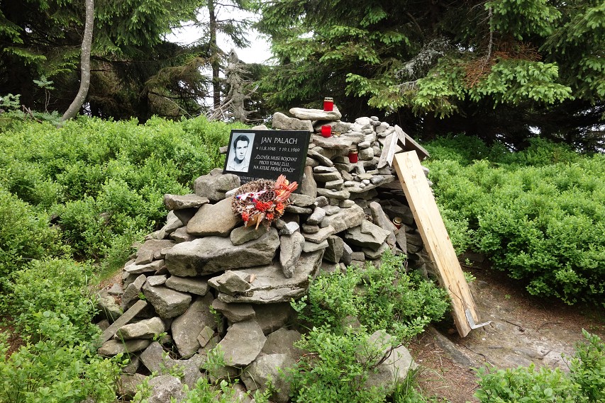 img00013.jpg