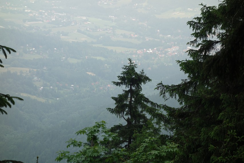 img00017.jpg