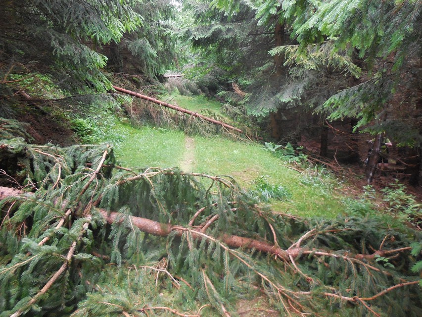 img00009.jpg