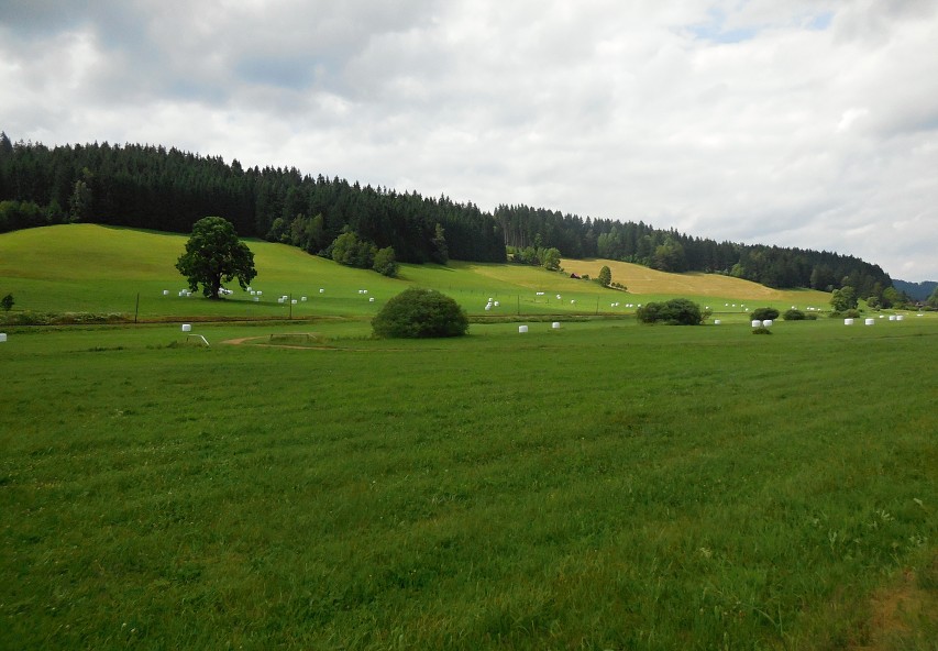 img00015.jpg