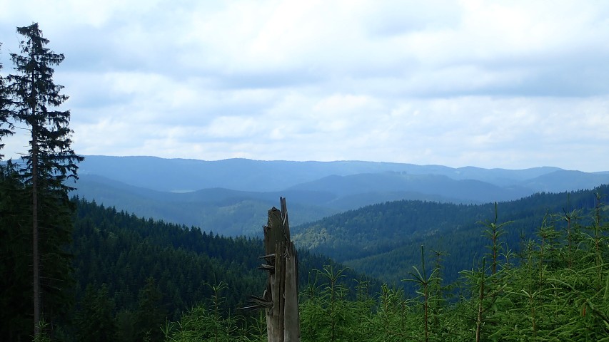 img00012.jpg