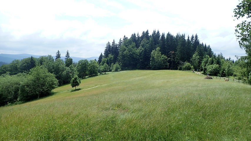 img00017.jpg